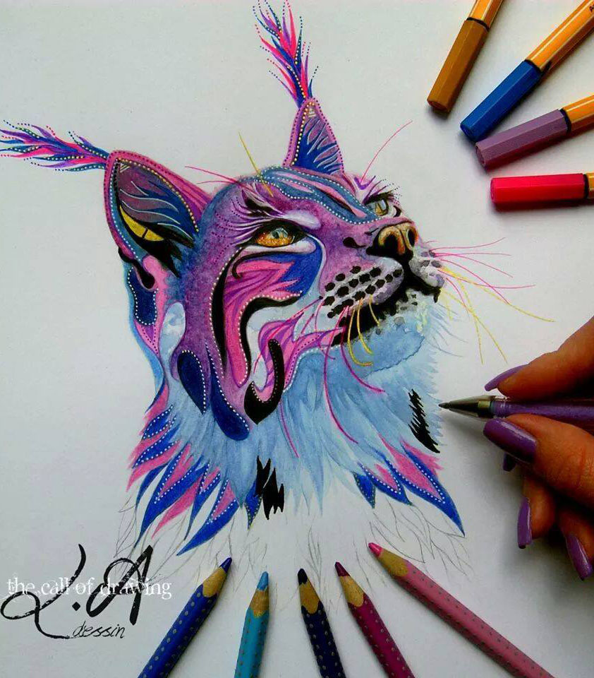 Cat color pencil drawing by lorine