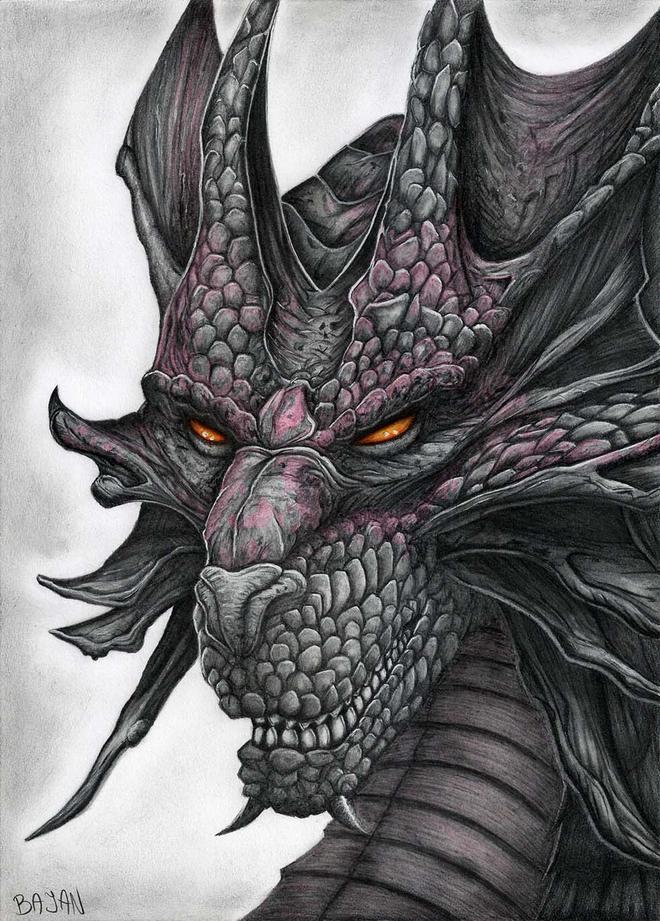 dragon drawings by bajanoski -  1