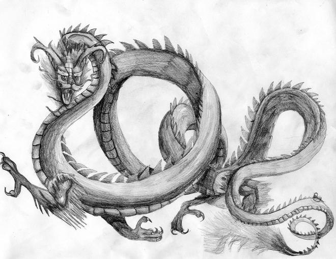 dragon drawings -  18