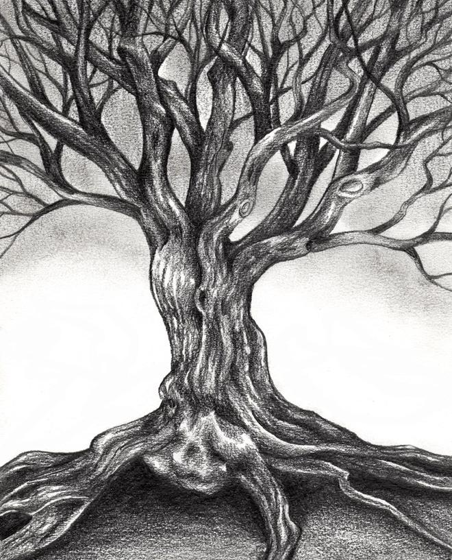Pencil Drawing Trees Images Pencildrawing2019 Sounds odd but it works. pencildrawing2019 blogger