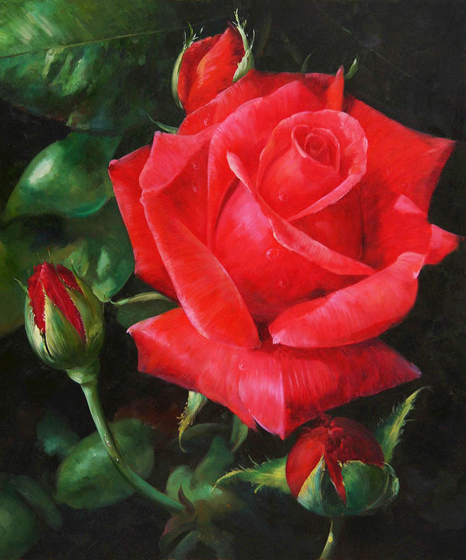 ผล๥าร๨้นหารูปภาพสำ​หรับ rose painting
