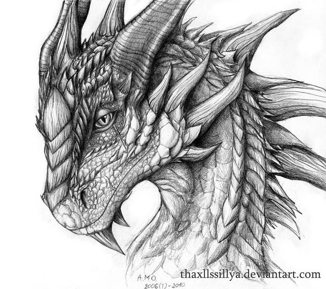dragon drawings by thaxllssillya -  9