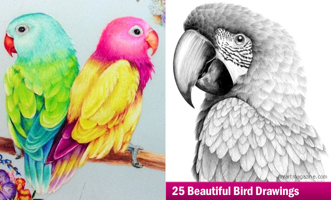 Birds - Free printable Coloring pages for kids