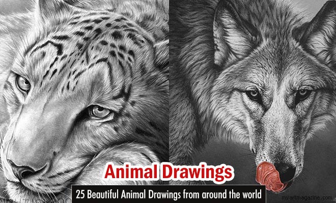 25 Beautiful Animal Drawings from around the World