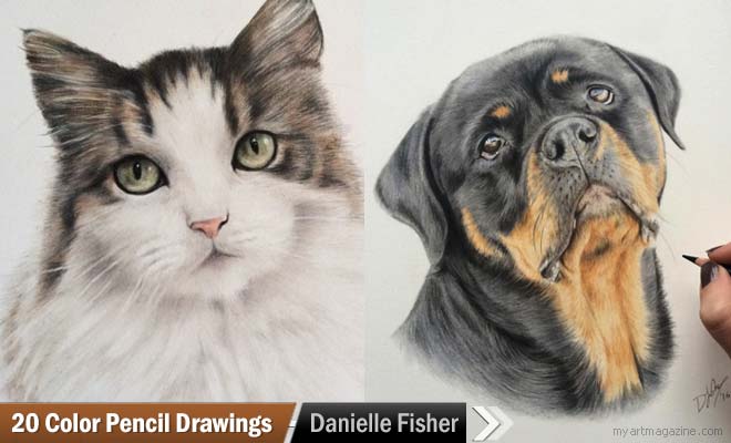 Detailed Pencil Drawings of Animals and People by Doreen Cross — Art is Fun-saigonsouth.com.vn