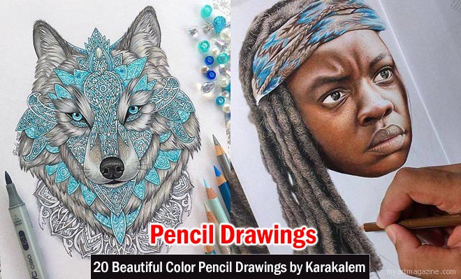 Realistic Drawings With Colored Pencils: A Beginner's Guide - Design Cuts