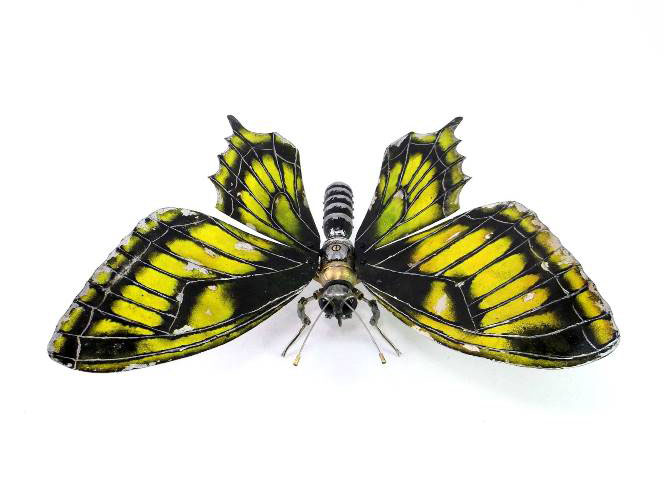 butterfly wing scrap sculptures igor