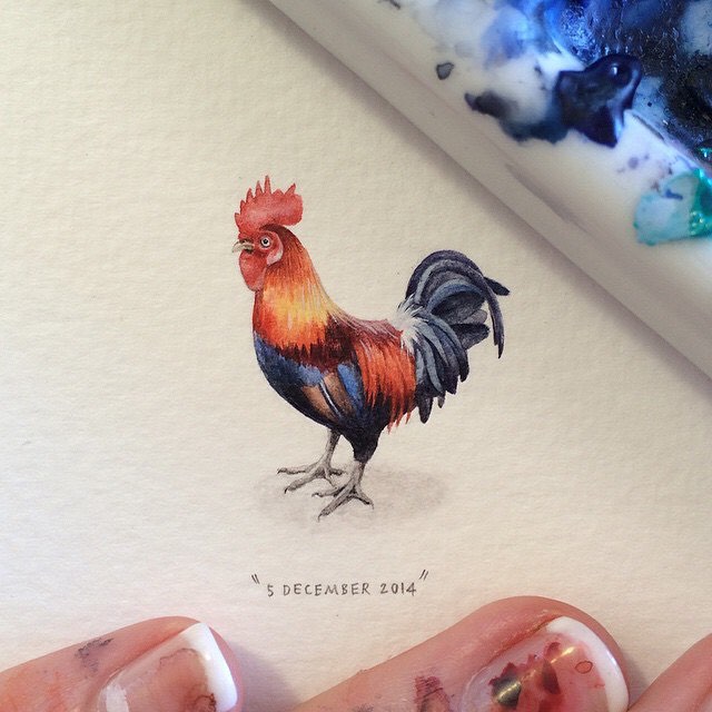 cock creative paintings by lorraine loots