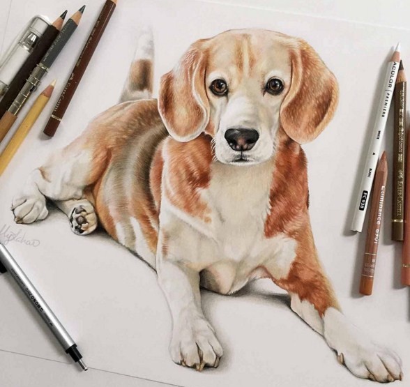 color pencil drawings by kelly lahar