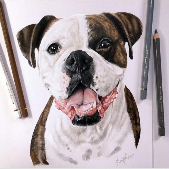 16 color pencil drawings by kelly lahar