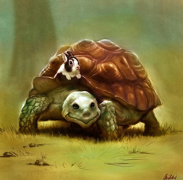 turtle animal digital art by okan bulbul