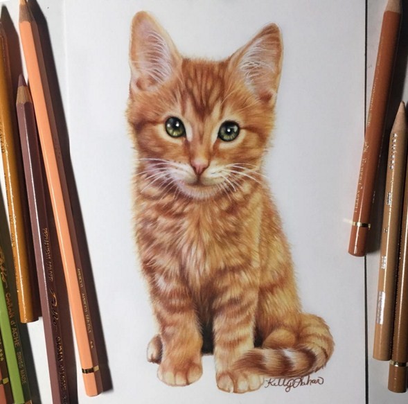 20 color pencil drawings by kelly lahar