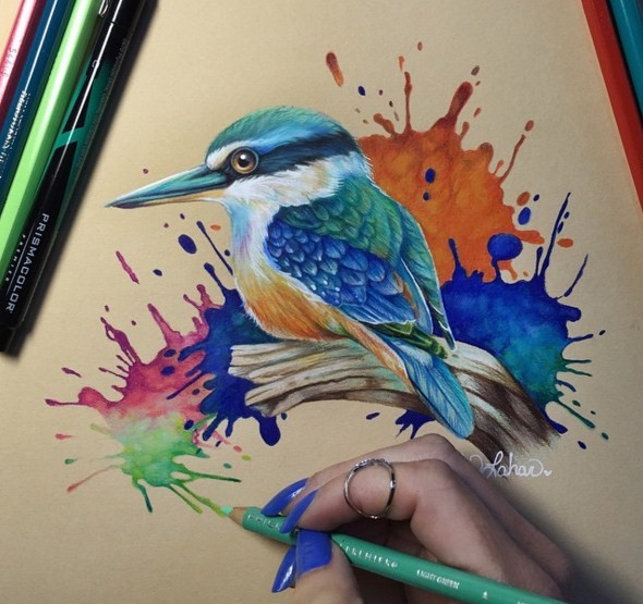 6 color pencil drawings by kelly lahar