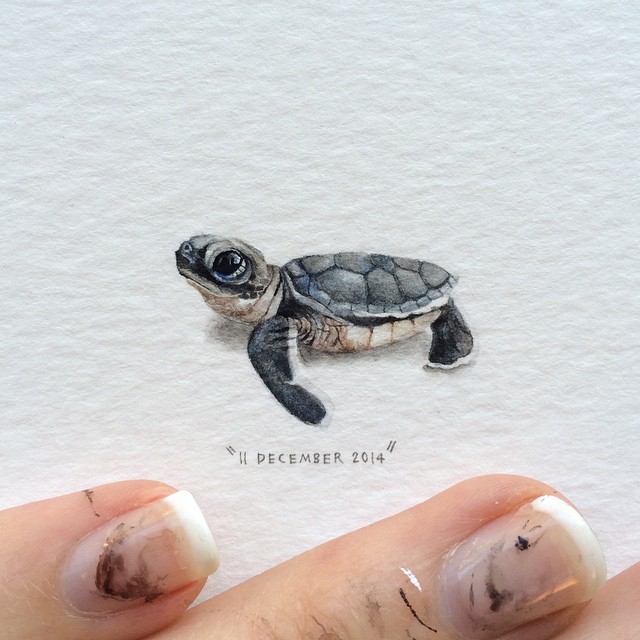 tortoise creative paintings by lorraine loots