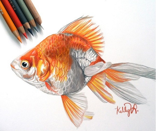 8 color pencil drawings by kelly lahar