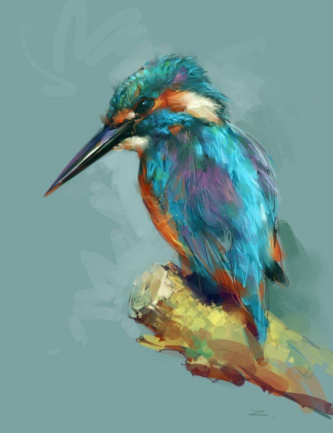 bird digital illustration by zhuzhu