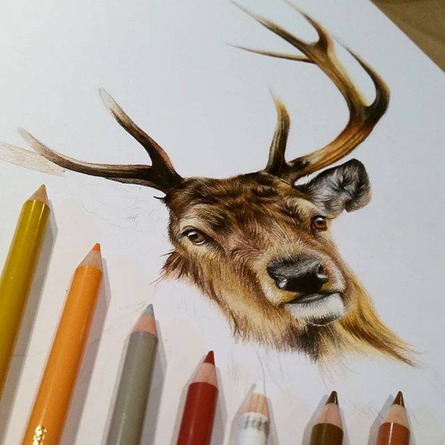 realistic pencil drawing by karakalem
