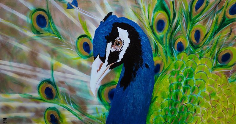 peacock painting emma sheldrake