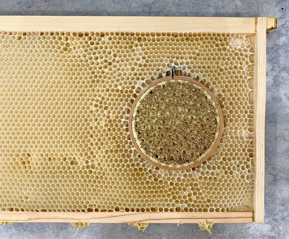 embroidery art beehive by ava roth