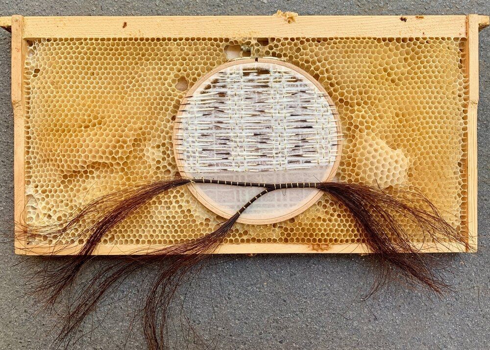embroidery art beehive by ava roth