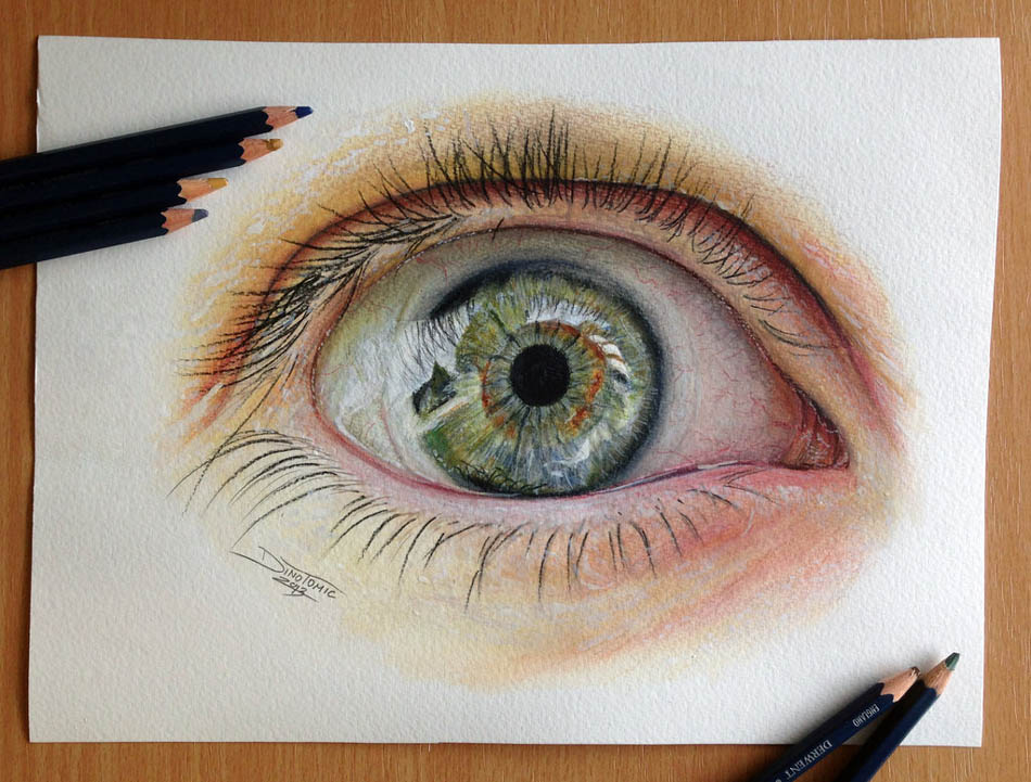 eye color pencil drawing dino