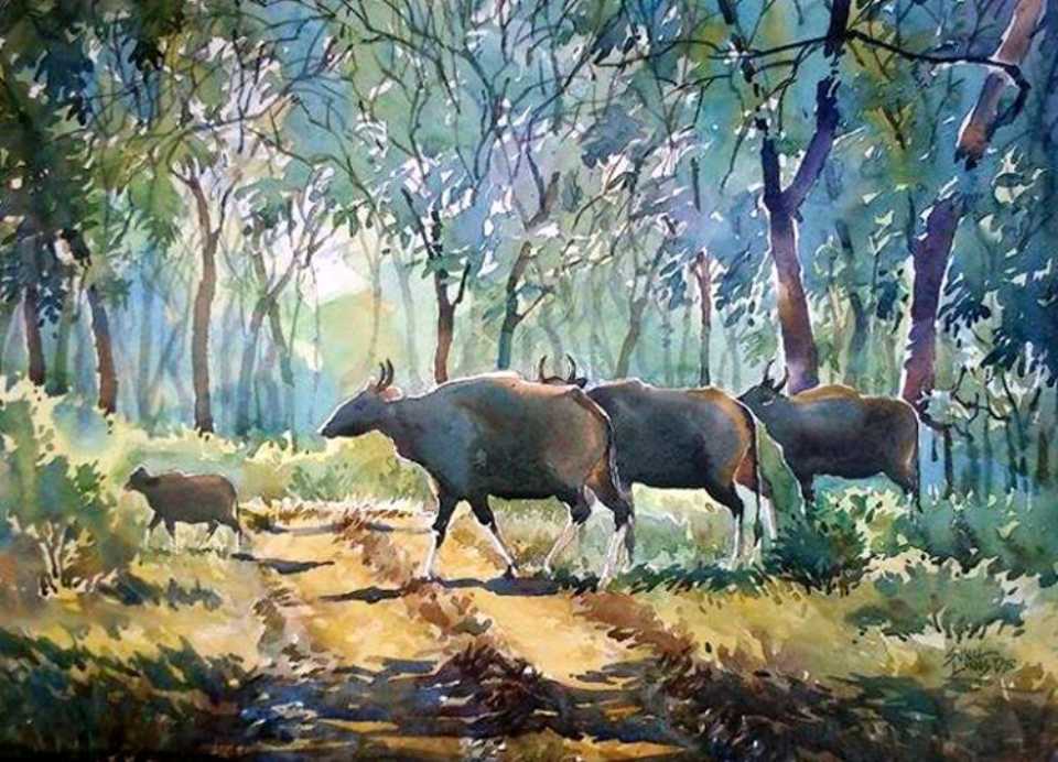buffaloes watercolor painting sunil