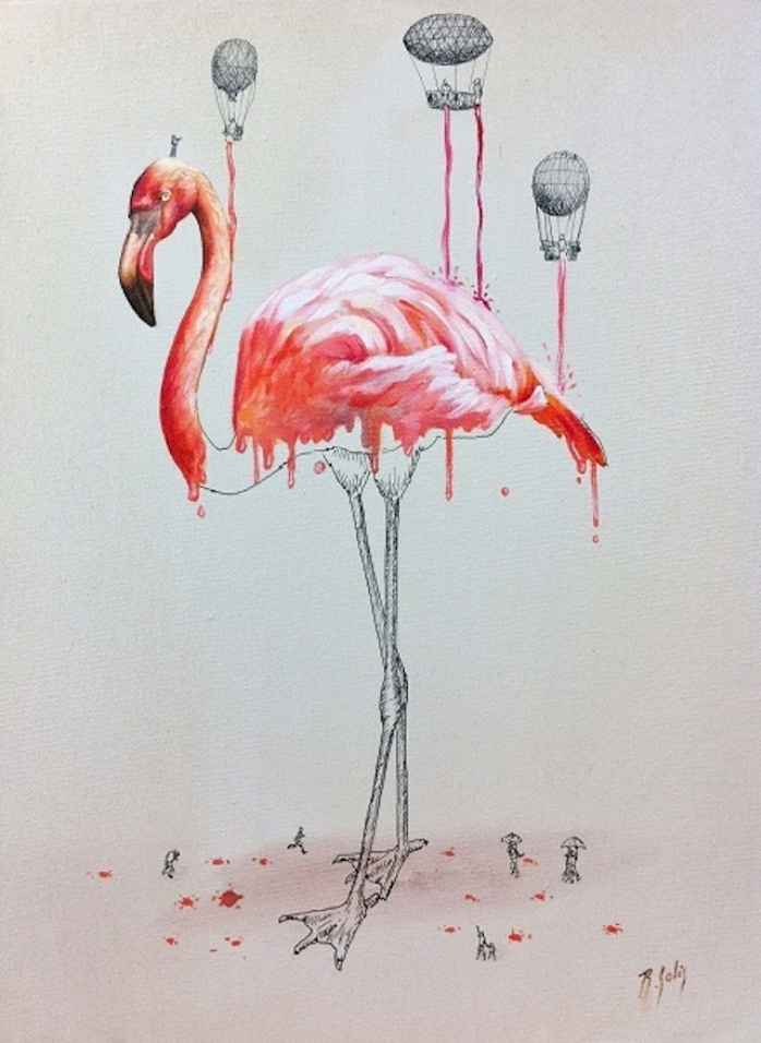 flamingo illustration ricardo solis
