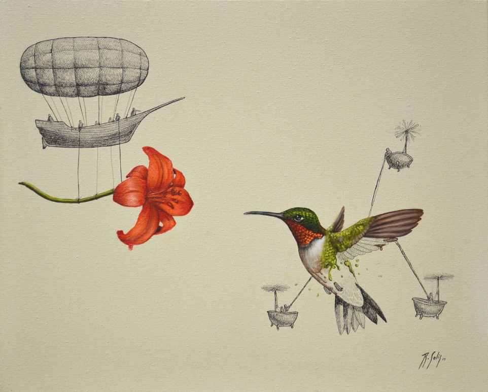 hummingbird illustration ricardo solis
