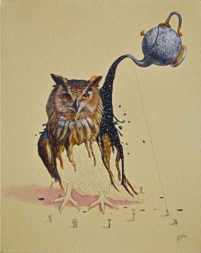owl illustration ricardo solis