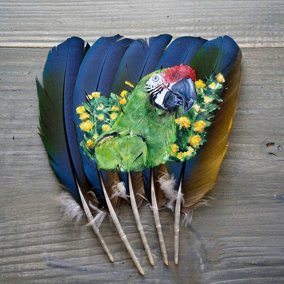 blue feather parrot paintings jamie