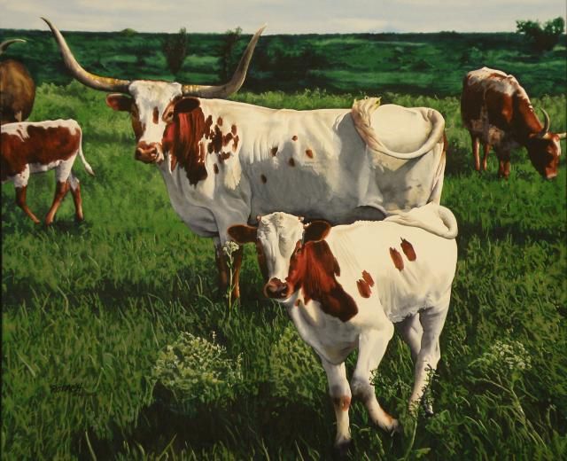 cow watercolor paintings marlin