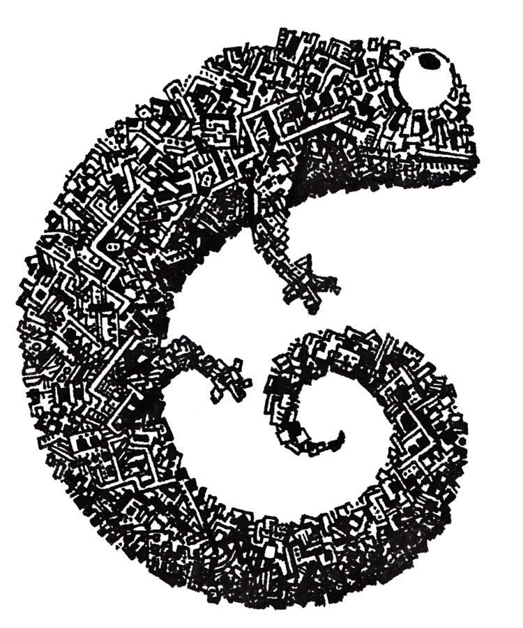 lizard-animal-drawings-peter