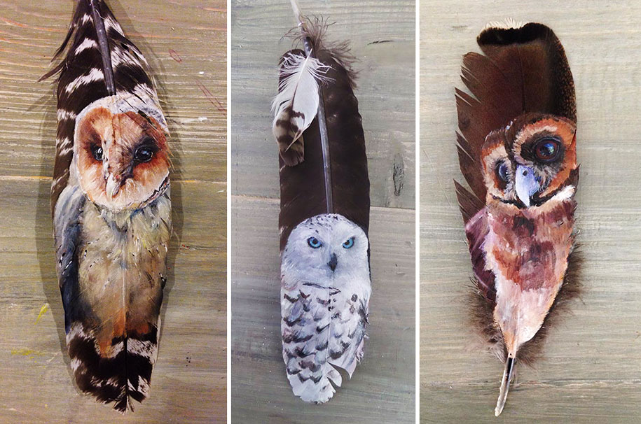 owl paintings jamie