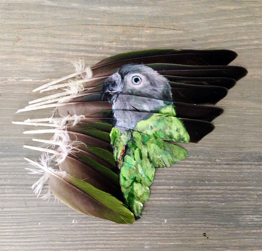 parrot paintings jamie