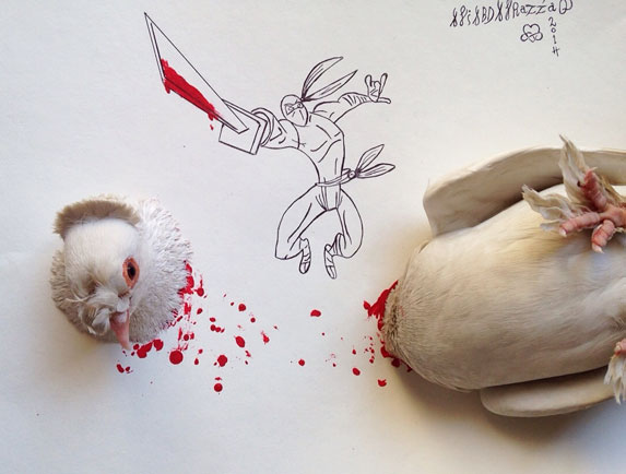 pigeon-creative-illustration-ali