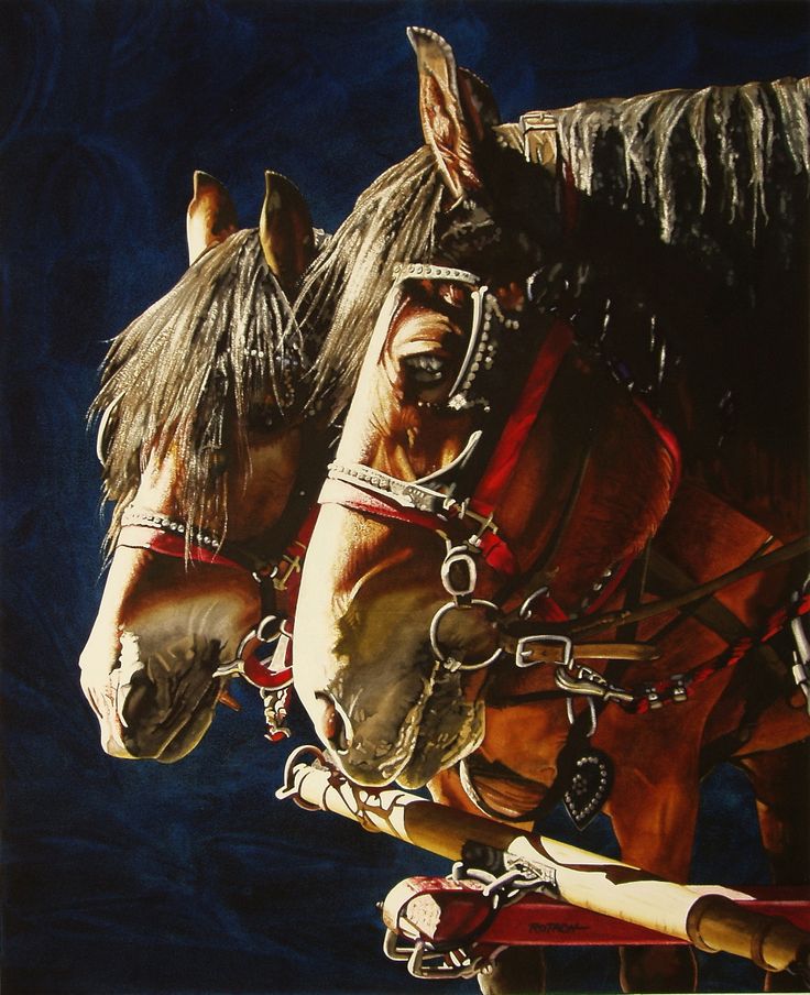 two horses watercolor paintings marlin