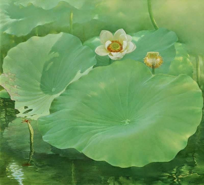 white lotus leaves painting jiang