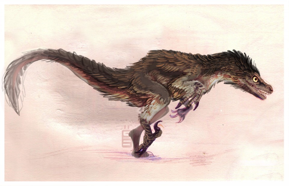 dragon digital art by tina