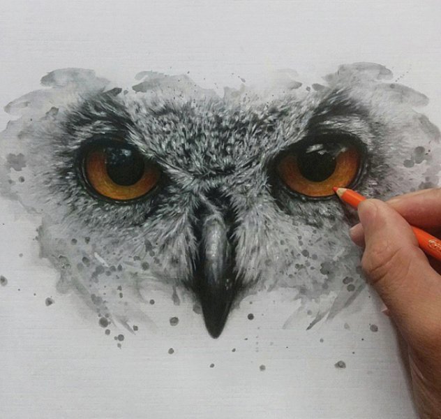 9 color pencil drawing by ronald