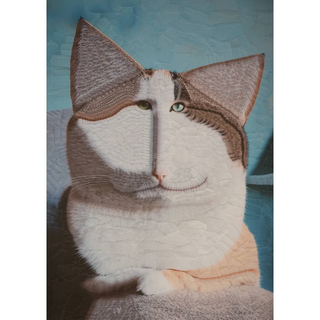 collage cat painting eddies by lola dupre