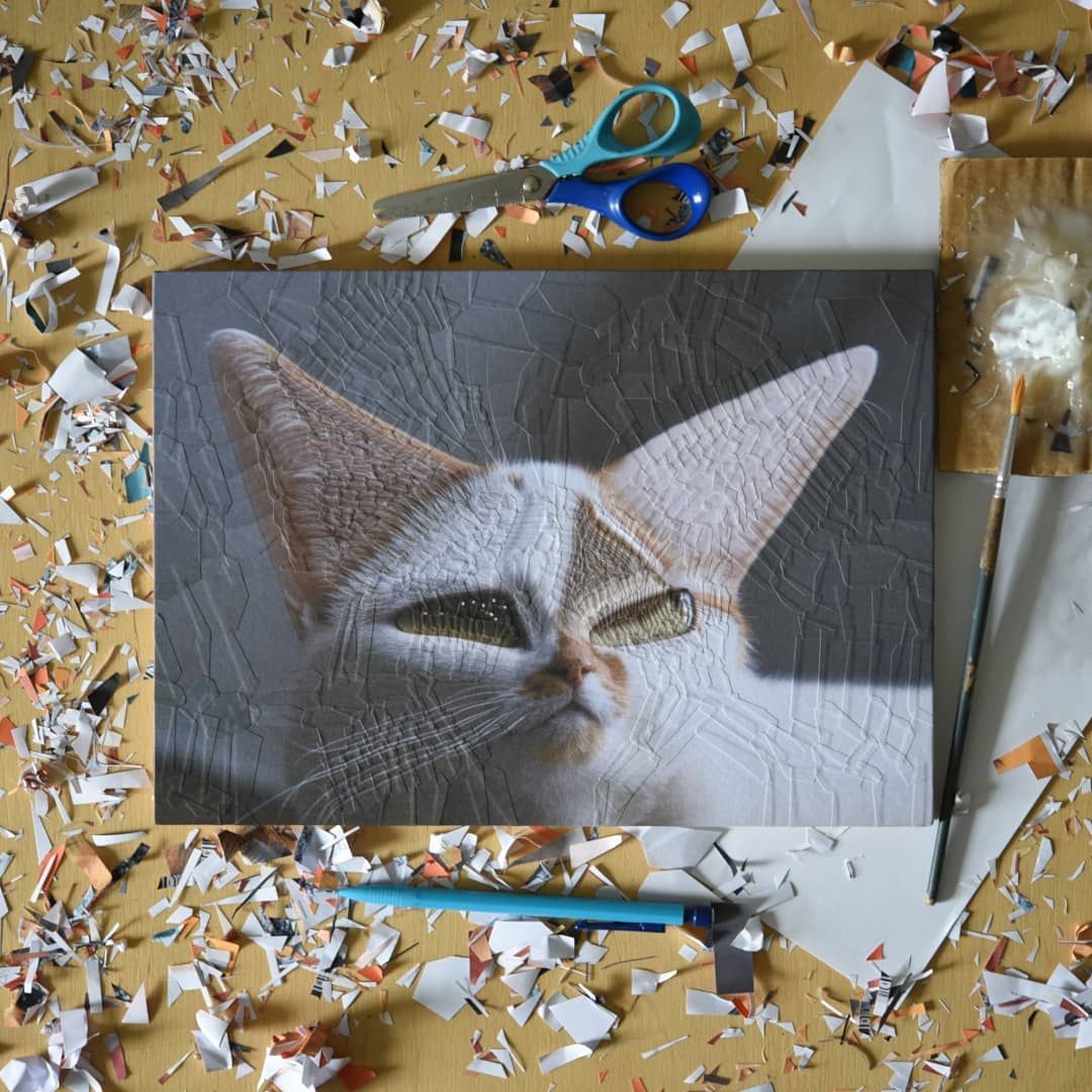 collage cat artwork eye charlie by lola dupre