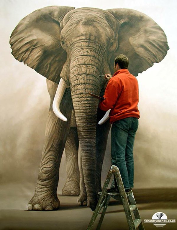 1 elephant animal paintings by richard symonds