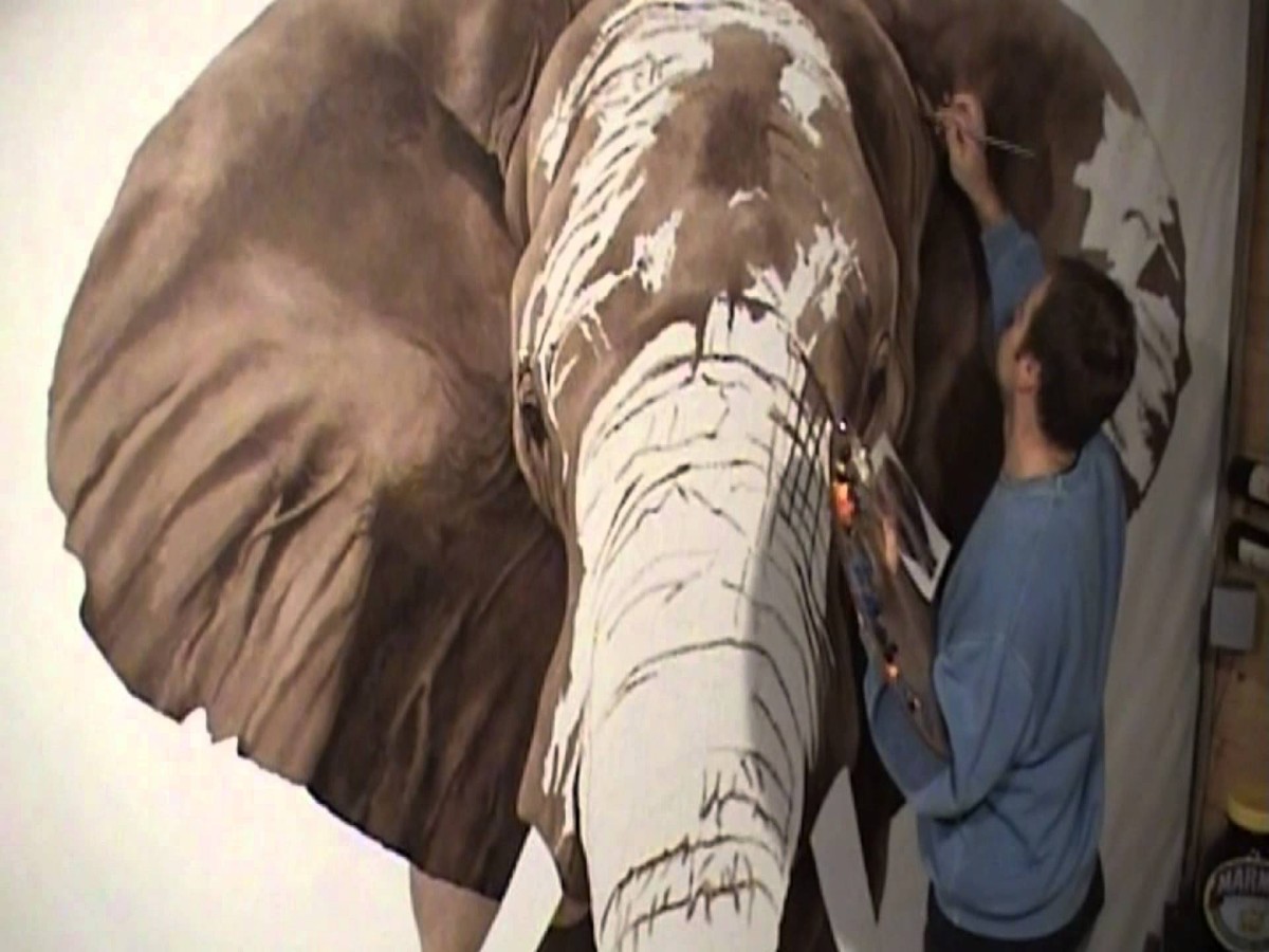 elephant animal paintings by richard symonds