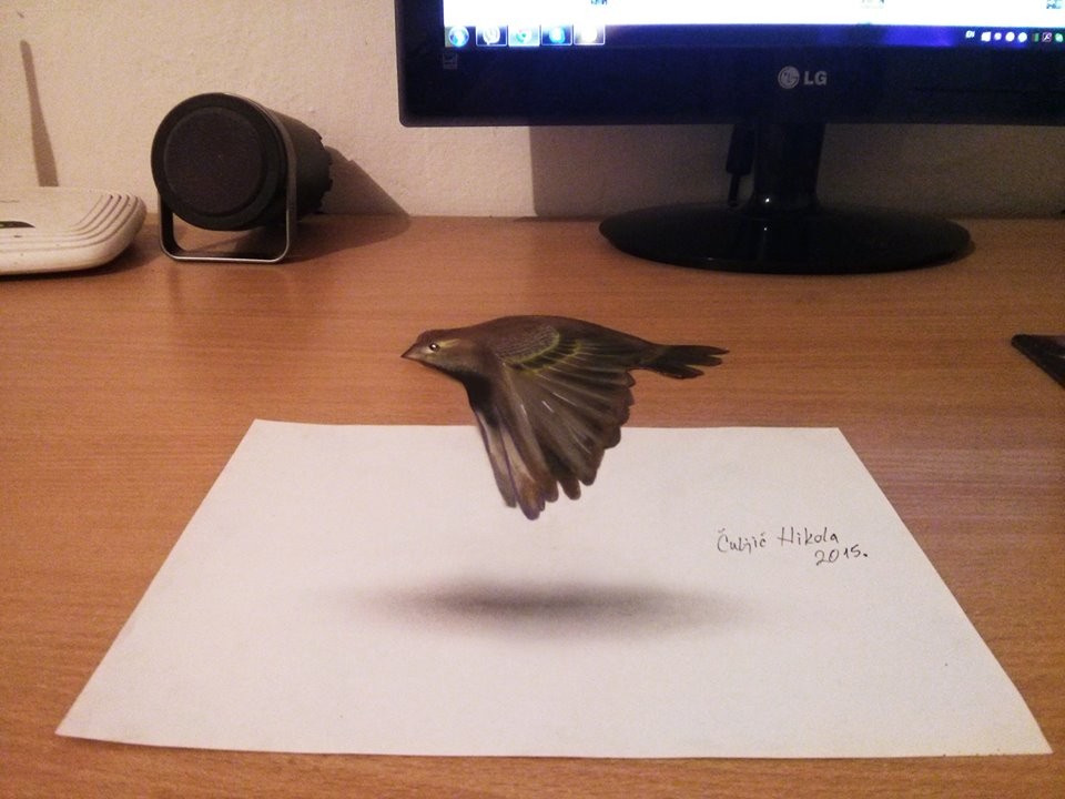 bird 3d drawings by nikola culjic