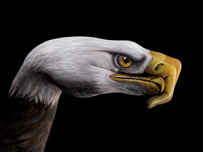 bald eagle close body painting art by emma fay