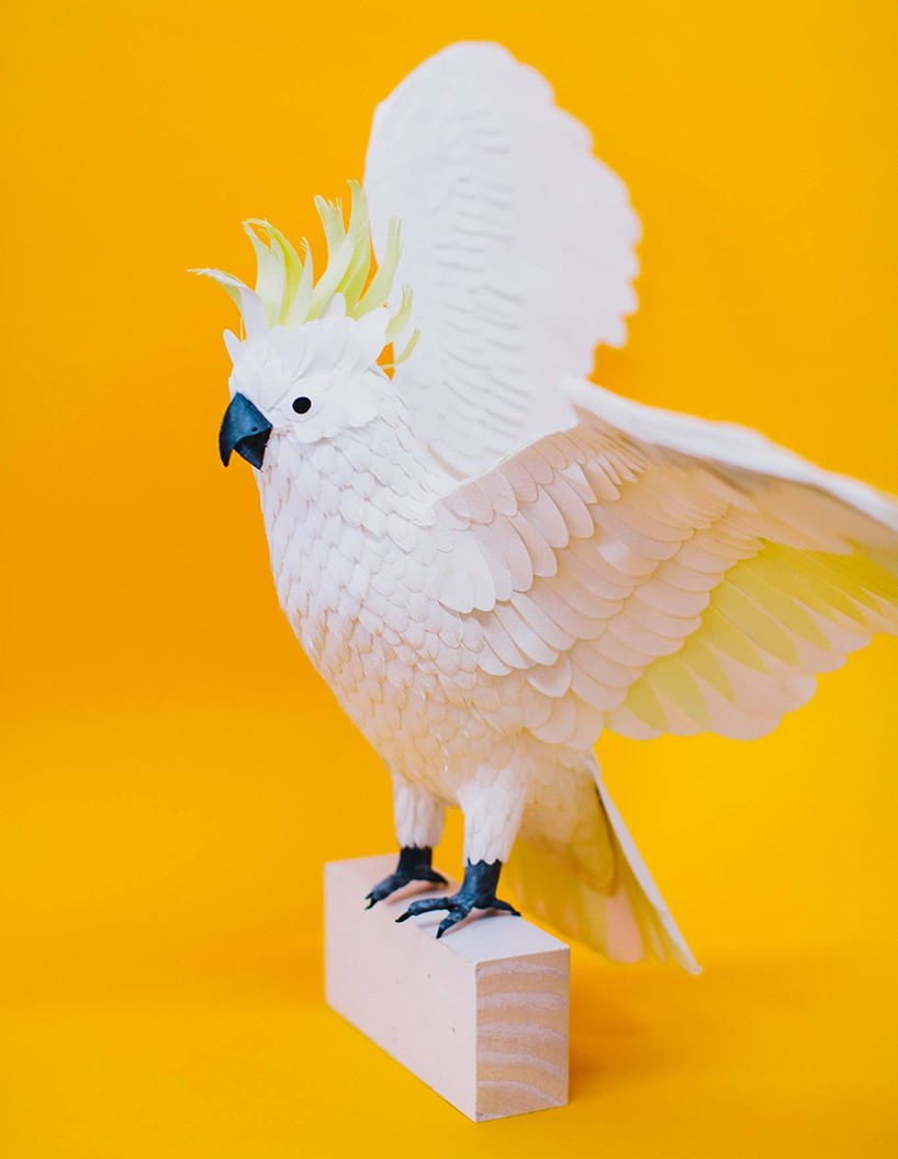 13 cockatoo bird paper sculptures by diana 0