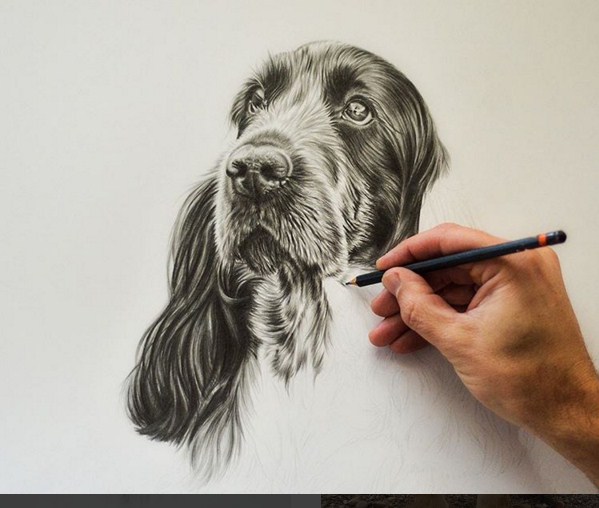 dog animal paintings by richard symonds