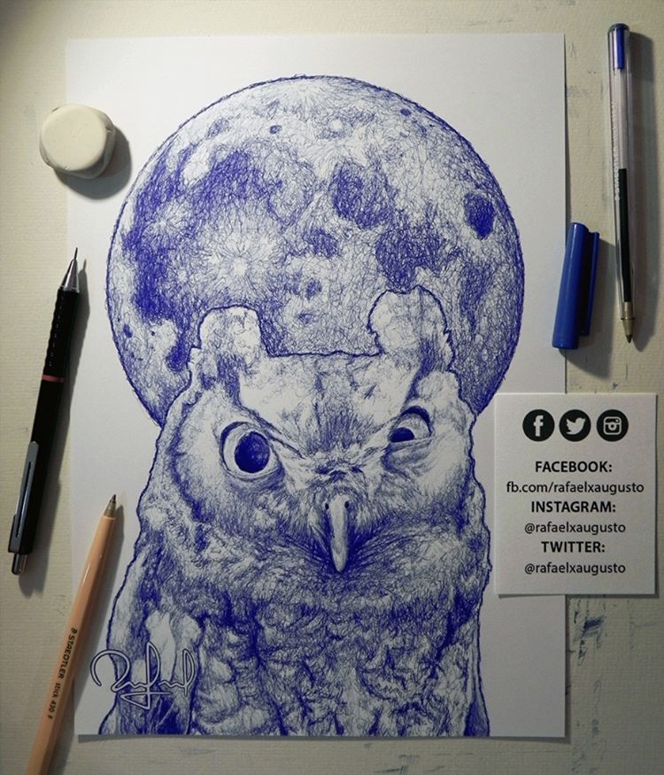 owl bird pen drawings by rafael augusto