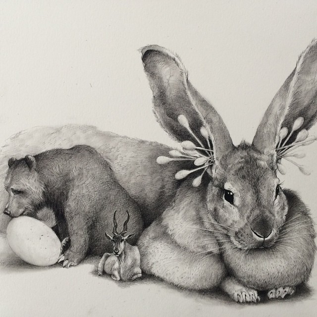 rabbit animal pencil drawing by adonna khare