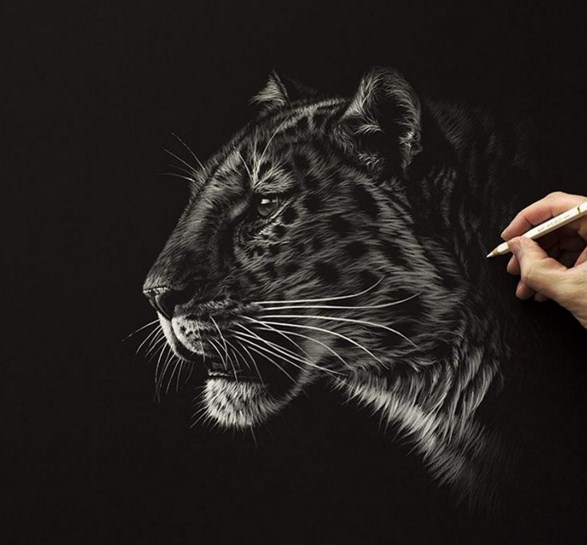 15 tiger animal paintings by richard symonds
